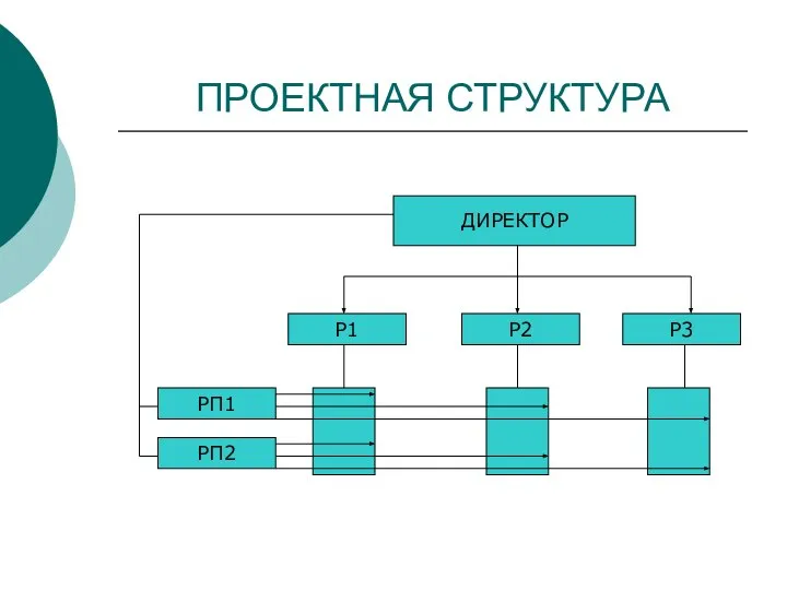 ПРОЕКТНАЯ СТРУКТУРА ДИРЕКТОР Р1 Р3 Р2 РП2 РП1