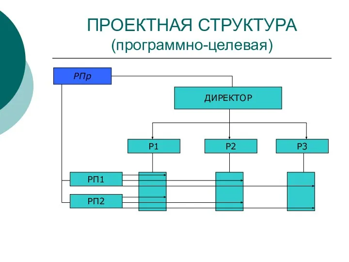 ПРОЕКТНАЯ СТРУКТУРА (программно-целевая) ДИРЕКТОР Р1 Р3 Р2 РП2 РП1 РПр