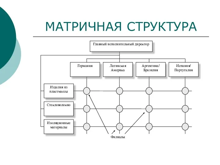 МАТРИЧНАЯ СТРУКТУРА