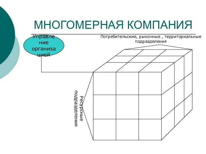 МНОГОМЕРНАЯ КОМПАНИЯ Управление организацией Потребительские, рыночные , территориальные подразделения Ресурсные подразделения