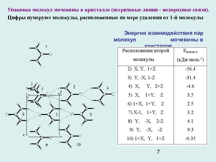 Упаковка молекул мочевины в кристалле (штриховые линии - водородные связи). Цифры