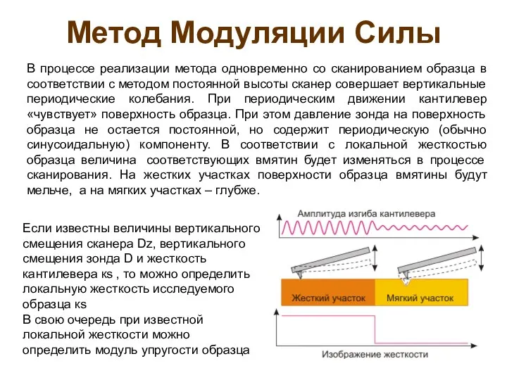 Метод Модуляции Силы В процессе реализации метода одновременно со сканированием образца