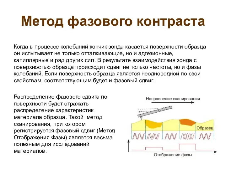 Метод фазового контраста Когда в процессе колебаний кончик зонда касается поверхности