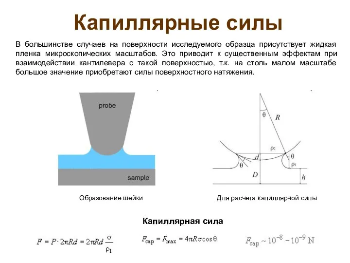 Капиллярные силы В большинстве случаев на поверхности исследуемого образца присутствует жидкая