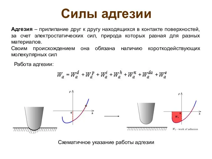 Силы адгезии Адгезия – прилипание друг к другу находящихся в контакте