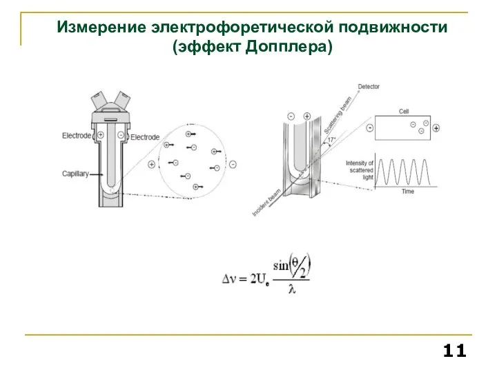 Измерение электрофоретической подвижности (эффект Допплера)