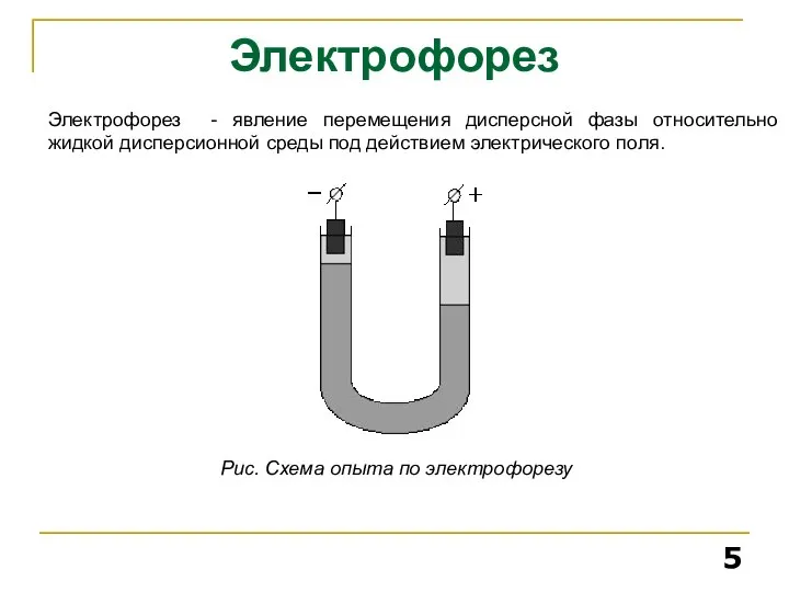 Электрофорез Электрофорез - явление перемещения дисперсной фазы относительно жидкой дисперсионной среды