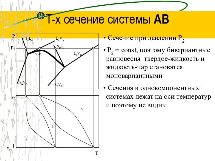 T-x сечение системы AB SALA P SAVA LAVA SBLB SBVB LBVB