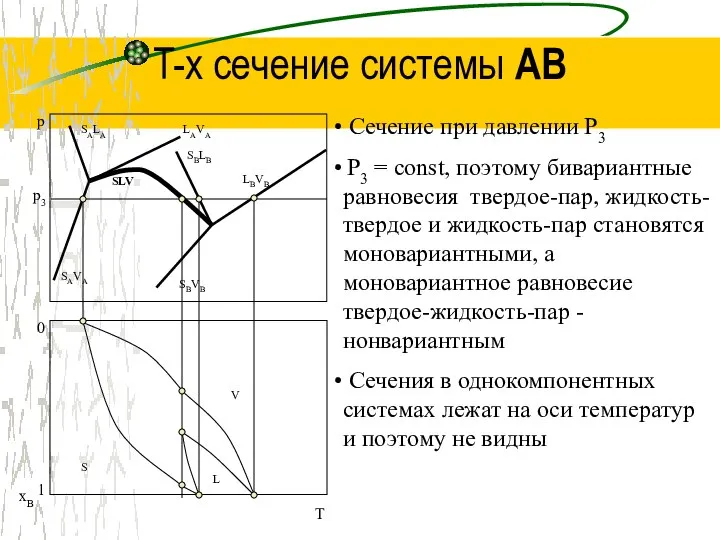 T-x сечение системы AB SALA p SAVA LAVA SBLB SBVB LBVB