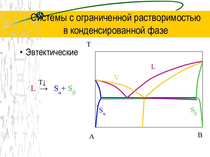 Системы с ограниченной растворимостью в конденсированной фазе Эвтектические