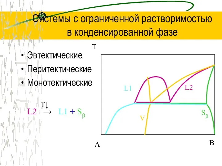 Системы с ограниченной растворимостью в конденсированной фазе Эвтектические Перитектические Монотектические T