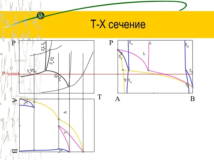 Т-Х сечение T Р B Р LV Sβ SαVSβ Sα VL