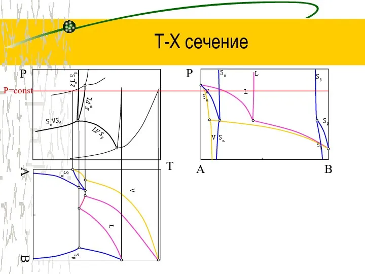 Т-Х сечение T Р B Р LV Sβ SαVSβ Sα VL