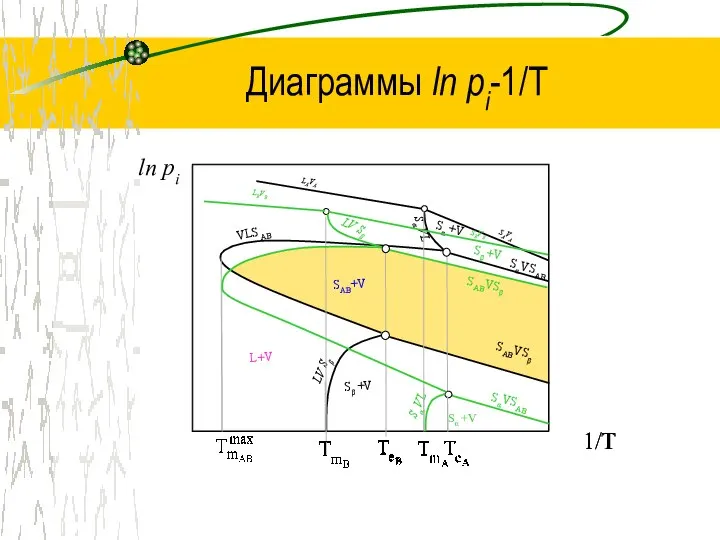 Диаграммы ln рi-1/Т 1/T LAVA SAVA LV Sβ SABVSβ SαVSAB Sα