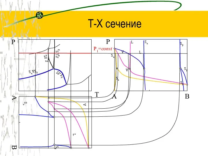 Т-Х сечение T Р B Р LV Sβ SαVSβ Sα VL