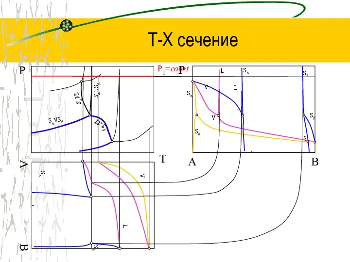 Т-Х сечение T Р B Р LV Sβ SαVSβ Sα VL