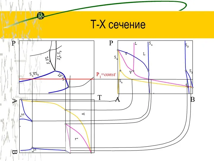 Т-Х сечение T Р B Р LV Sβ SαVSβ Sα VL