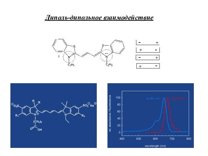Диполь-дипольное взаимодействие