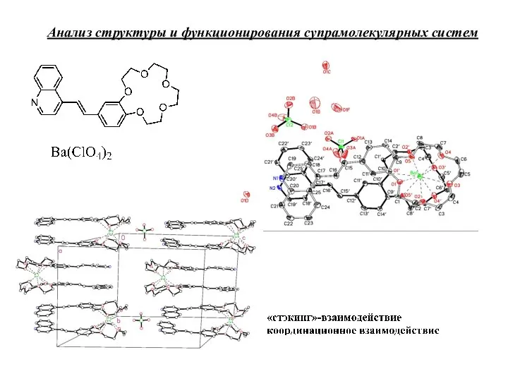 Анализ структуры и функционирования cупрамолекулярных систем