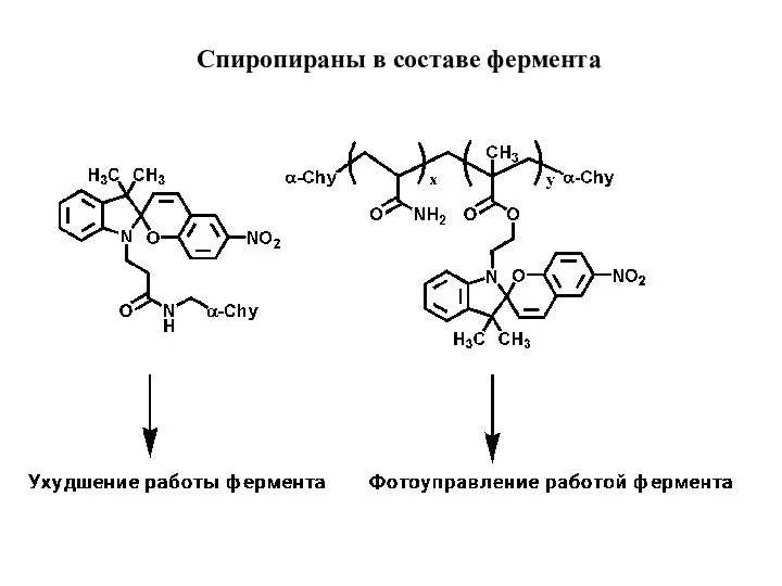 Спиропираны в составе фермента