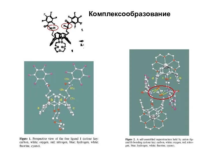 Комплексообразование