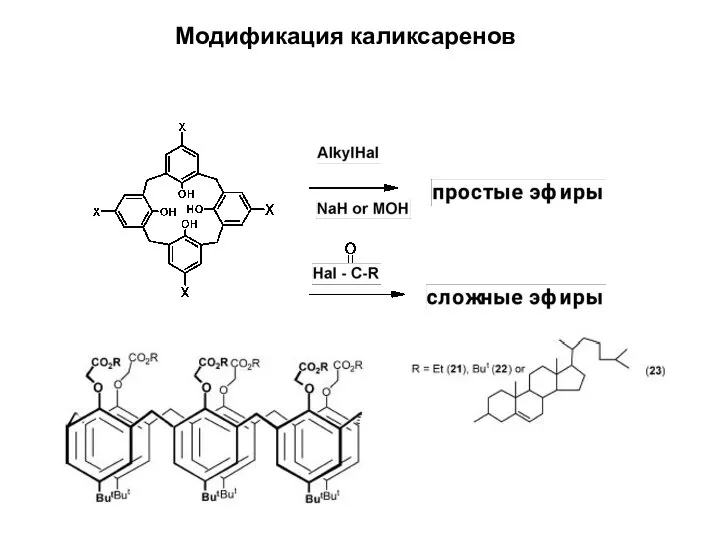 Модификация каликсаренов