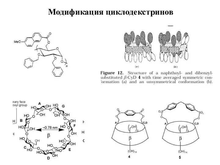 Модификация циклодекстринов