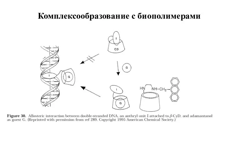 Комплексообразование с биополимерами