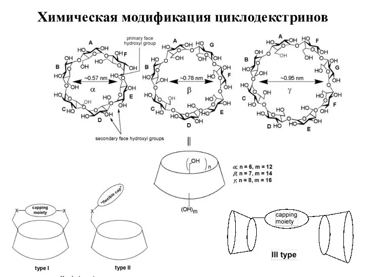 Химическая модификация циклодекстринов