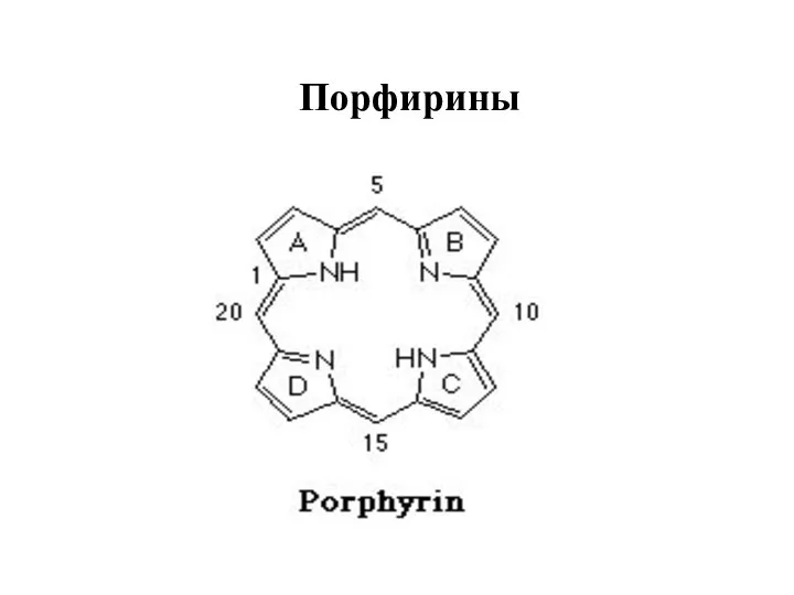 Порфирины