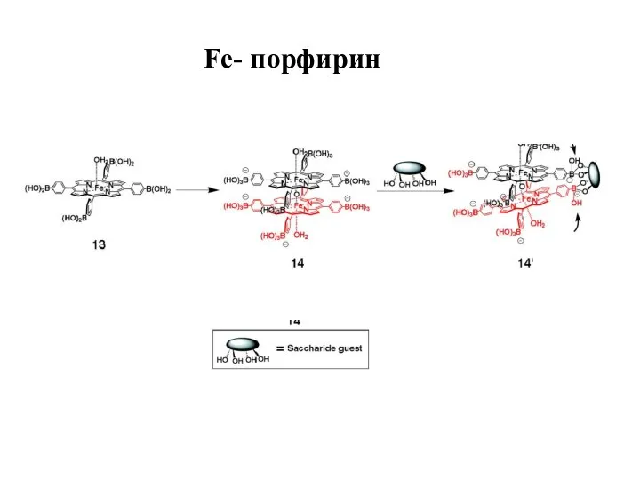 Fe- порфирин