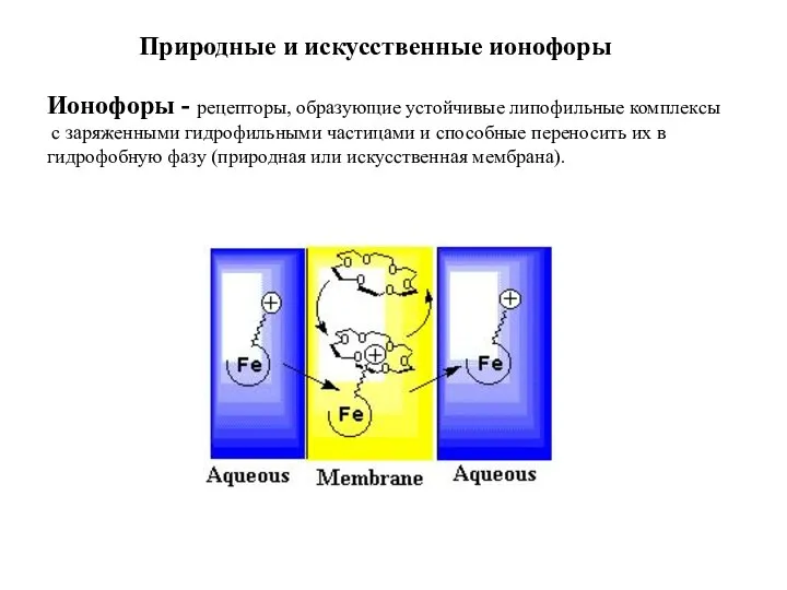 Природные и искусственные ионофоры Ионофоры - рецепторы, образующие устойчивые липофильные комплексы