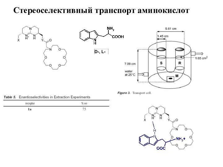 Стереоселективный транспорт аминокислот