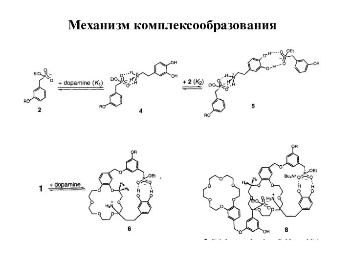 Механизм комплексообразования