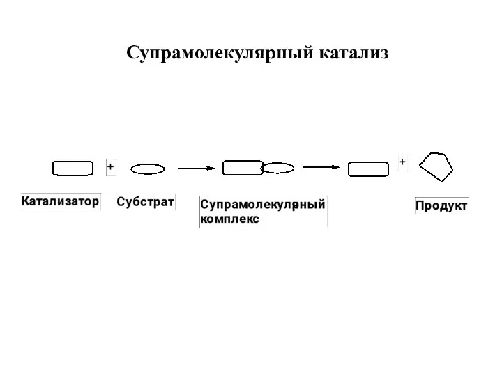 Супрамолекулярный катализ