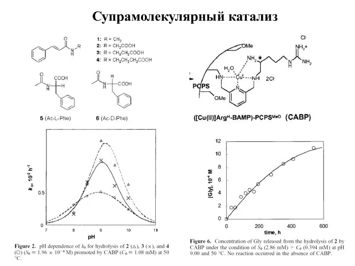 Супрамолекулярный катализ