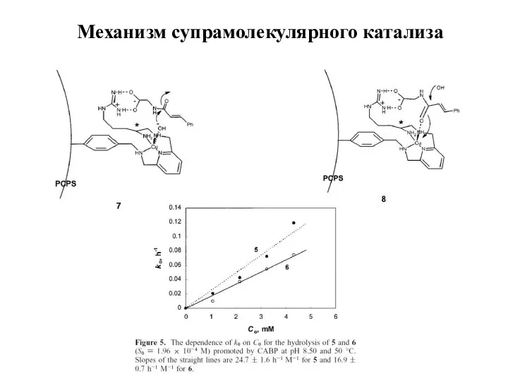 Механизм супрамолекулярного катализа