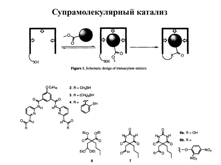 Супрамолекулярный катализ