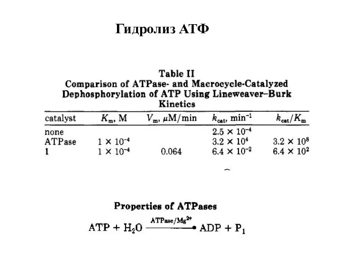 Гидролиз АТФ