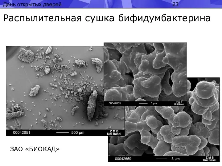 День открытых дверей Распылительная сушка бифидумбактерина ЗАО «БИОКАД»