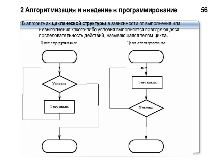 2 Алгоритмизация и введение в программирование 56 В алгоритмах циклической структуры