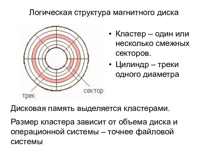 Логическая структура магнитного диска Кластер – один или несколько смежных секторов.