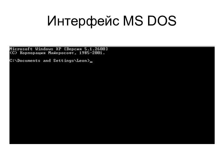 Интерфейс MS DOS