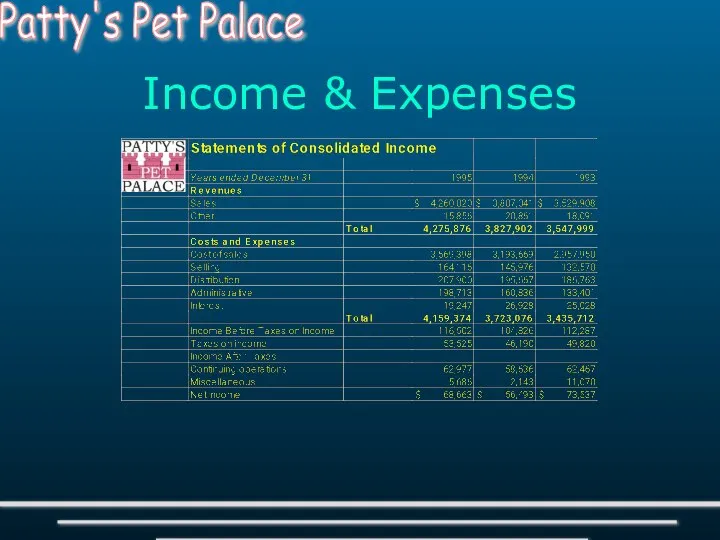 Income & Expenses