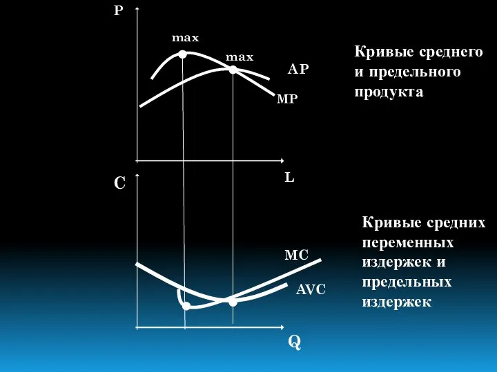 L Q C P max AP MP max Кривые среднего и