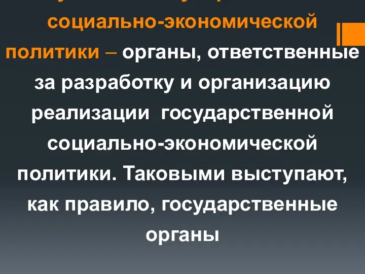 Субъекты государственной социально-экономической политики – органы, ответственные за разработку и организацию