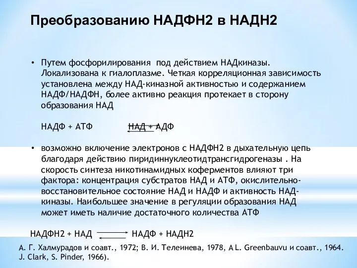 Преобразованию НАДФН2 в НАДН2 Путем фосфорилирования под действием НАДкиназы. Локализована к