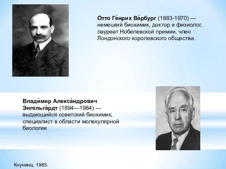 Влади́мир Алекса́ндрович Энгельга́рдт (1894—1984) — выдающийся советский биохимик, специалист в области