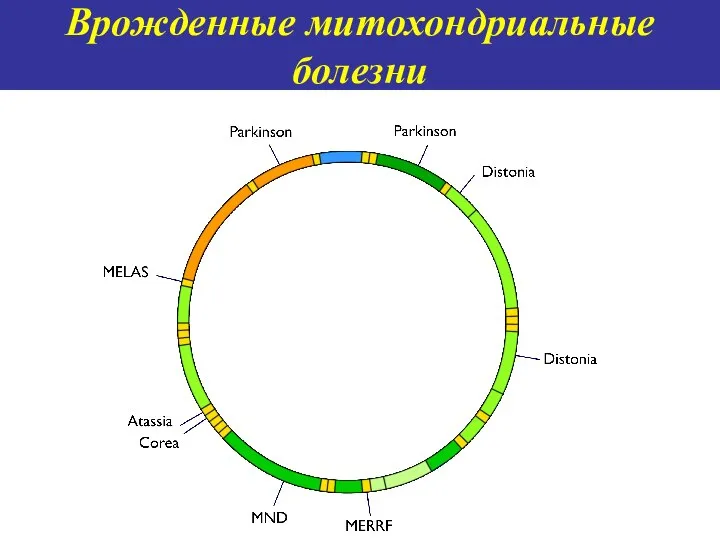 Врожденные митохондриальные болезни