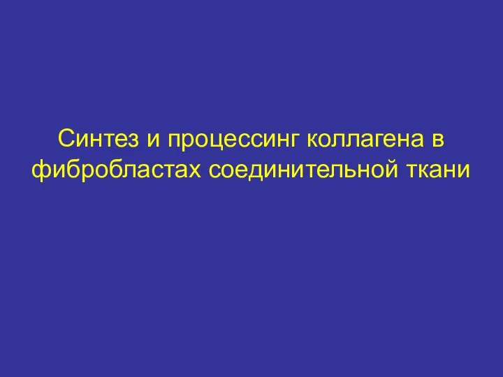 Синтез и процессинг коллагена в фибробластах соединительной ткани